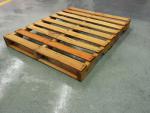 kunststof en houten pallets koop je bij plaza.